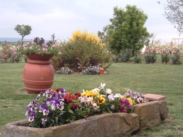 Agriturismo I Romiti Castiglione del Lago Exterior photo